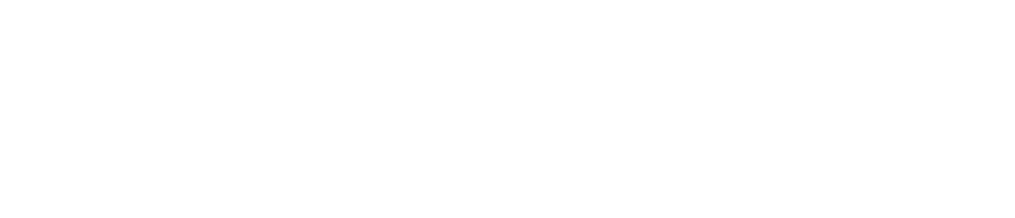 TOPO LAROCCA
